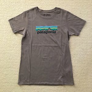 Patagonia Graphic Logo Organic Cotton Tee